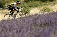 George Bennett mug #G2321764