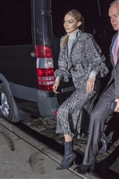 Gigi Hadid Longsleeve T-shirt #3035412