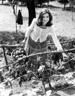 Gigliola Cinquetti posters