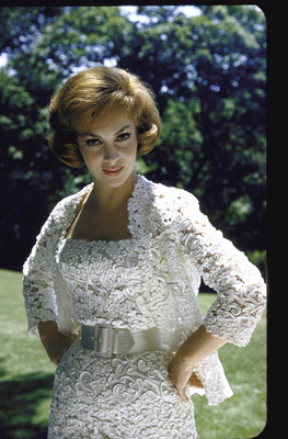 Gina Lollobrigida posters