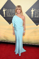 Goldie Hawn Tank Top #3204817