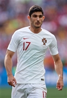 Goncalo Guedes mug #G1582965