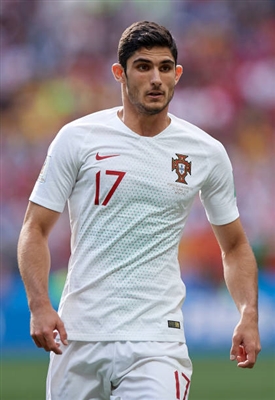 Goncalo Guedes canvas poster