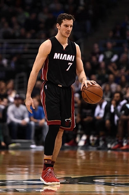 Goran Dragic stickers 3390343