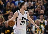 Gordon Hayward hoodie #3404010