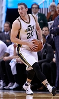 Gordon Hayward t-shirt #3404014