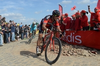 Greg Van Avermaet t-shirt #2749807