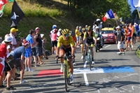 Greg Van Avermaet hoodie #3704963