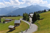 Greg Van Avermaet t-shirt #3704964