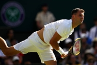Grigor Dimitrov Sweatshirt #3359302