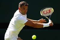 Grigor Dimitrov tote bag #G1601585