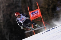 Guillermo Fayed Sweatshirt #3653671