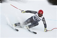 Guillermo Fayed Sweatshirt #3653675