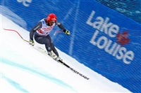 Guillermo Fayed t-shirt #3653701