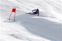 Guillermo Fayed hoodie #3653717