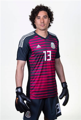 Guillermo Ochoa posters