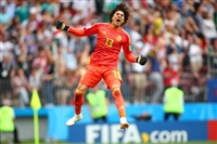 Guillermo Ochoa mug #G1583214