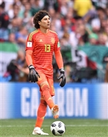 Guillermo Ochoa mug #G1583217