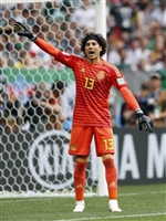 Guillermo Ochoa mug #G1583221