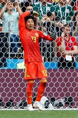 Guillermo Ochoa posters