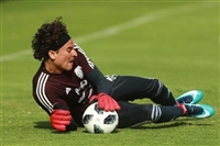 Guillermo Ochoa longsleeve t-shirt #3340956