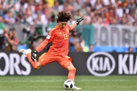 Guillermo Ochoa longsleeve t-shirt #3340964