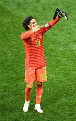 Guillermo Ochoa posters