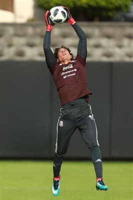 Guillermo Ochoa posters