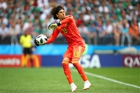 Guillermo Ochoa longsleeve t-shirt #3341000