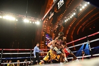 Guillermo Rigondeaux mug #G1823439