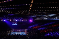 Guillermo Rigondeaux mug #G1823539