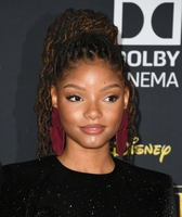 Halle Bailey Longsleeve T-shirt #3847500