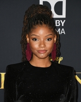 Halle Bailey Longsleeve T-shirt #3847507