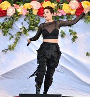 Halsey Longsleeve T-shirt #2789527