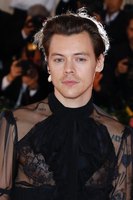 Harry Styles Sweatshirt #3832325