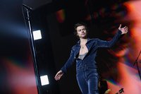 Harry Styles Sweatshirt #3910416
