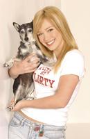 Hilary Duff t-shirt #2050512