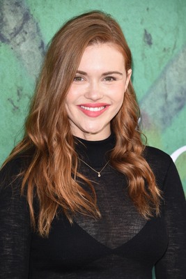 Holland Roden puzzle 3789098