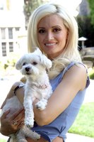 Holly Madison tote bag #G435061