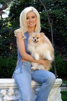 Holly Madison Longsleeve T-shirt #2095799