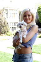 Holly Madison t-shirt #2095802