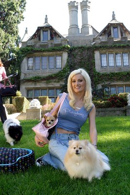 Holly Madison T-shirt