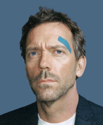 Hugh Laurie stickers 2204100