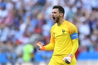 Hugo Lloris longsleeve t-shirt #3461489