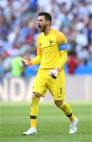 Hugo Lloris Sweatshirt #3461499