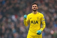 Hugo Lloris Sweatshirt #3461517