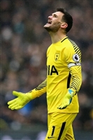 Hugo Lloris longsleeve t-shirt #3461541