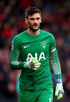 Hugo Lloris mug #G1703788