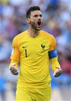 Hugo Lloris longsleeve t-shirt #3461563