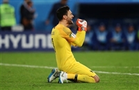 Hugo Lloris hoodie #3461593